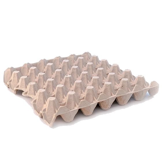 Egg Tray (2x18's) 160's