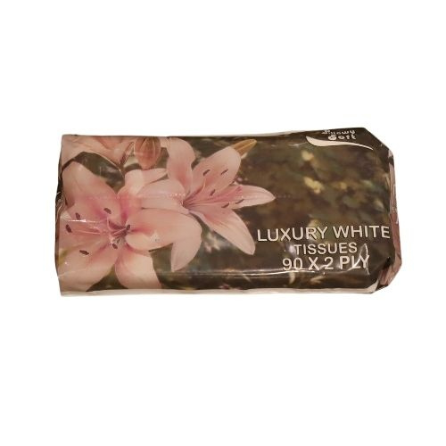 Facial Tissue 90sh 2Ply SOFT Pillowy
