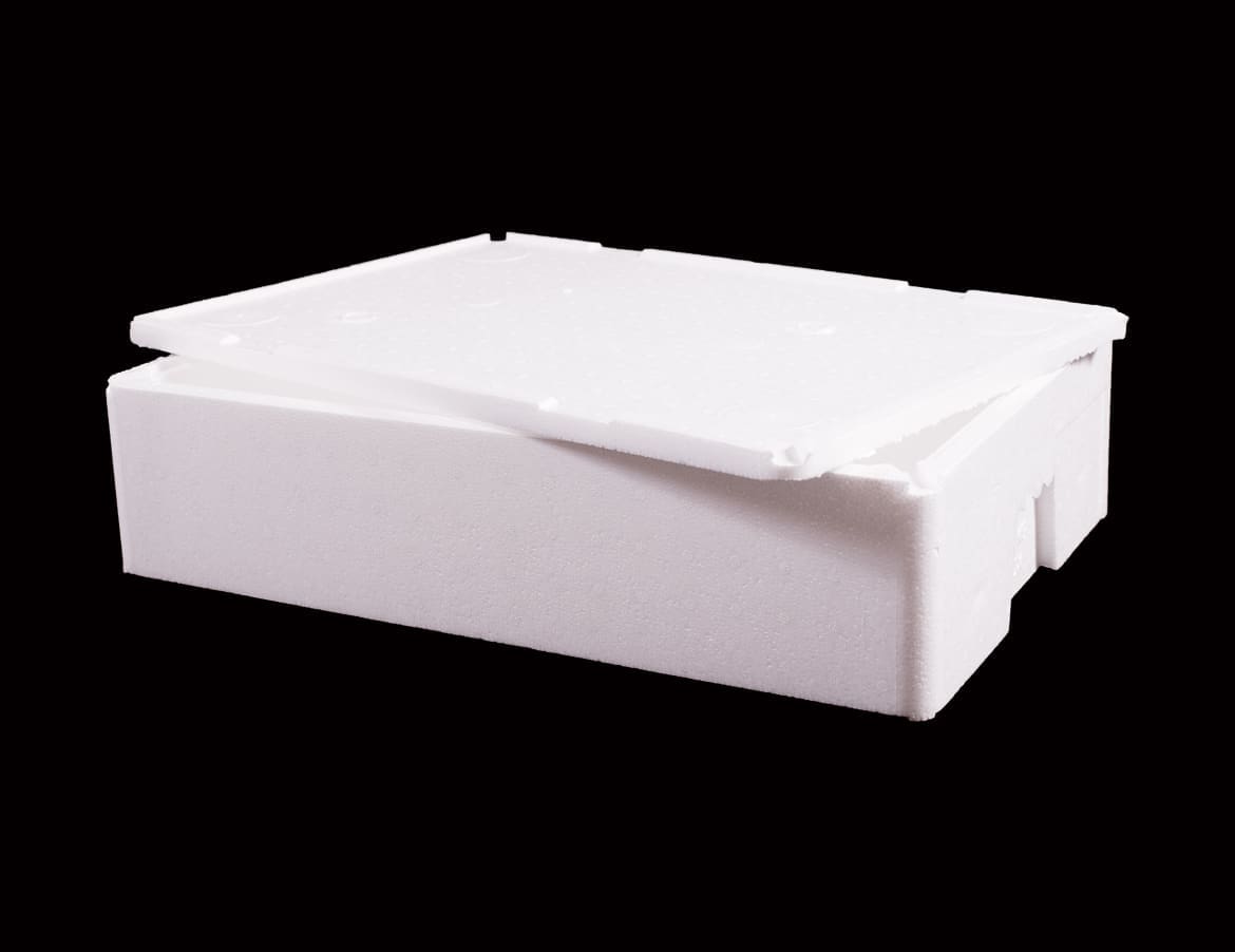 Cooler Box Fish 10kg