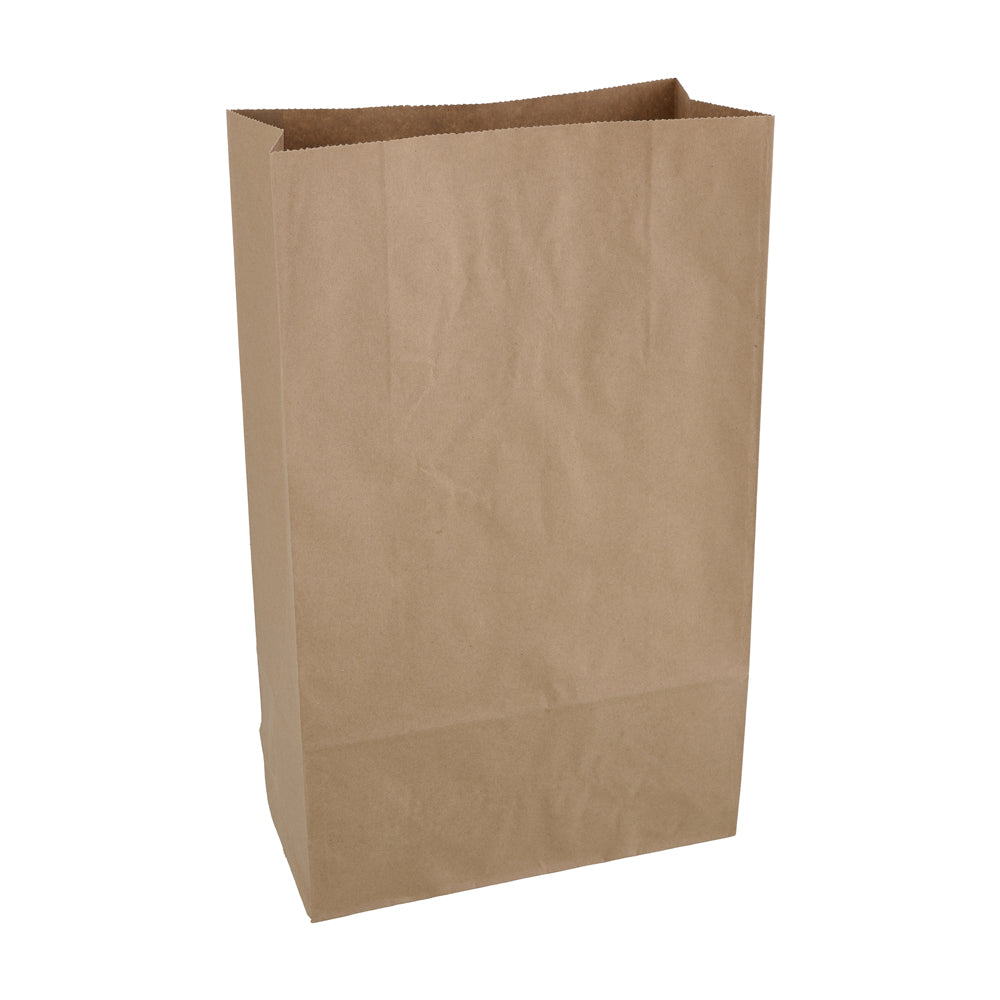 Large Shopper Brown Bags 100's