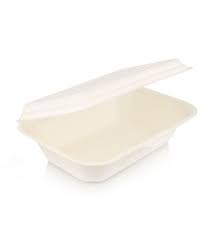 Meal Box Bagasse No Division
