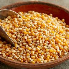 Popcorn Seeds 25kg
